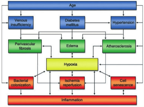 Wound Care Treatment Chart